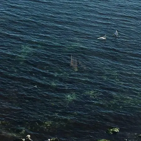 아파트 Milagro 라브다