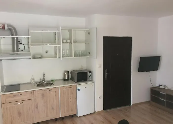 Milagro Apartment Ravda