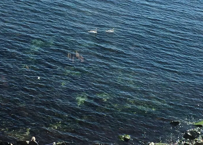 Διαμέρισμα Milagro